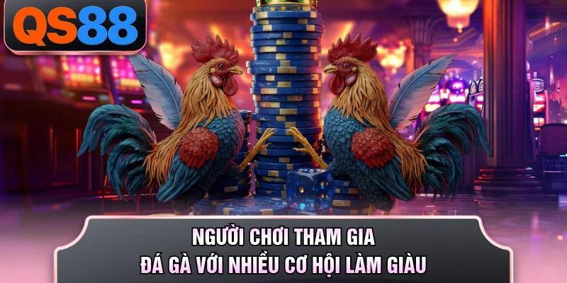 Người chơi tham gia đá gà với nhiều cơ hội làm giàu 